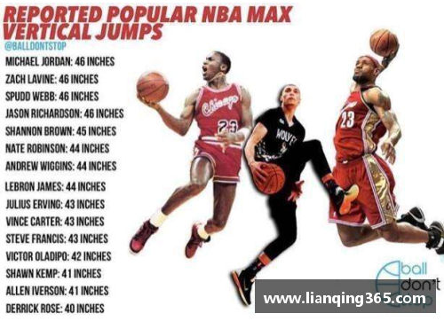 NBA传奇飞人：飞跃篮球史的辉煌岁月